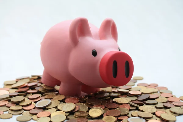 Banco porquinho em uma pilha de dinheiro — Fotografia de Stock
