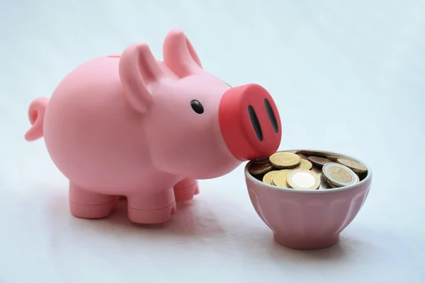 Alimentando um banco porquinho — Fotografia de Stock