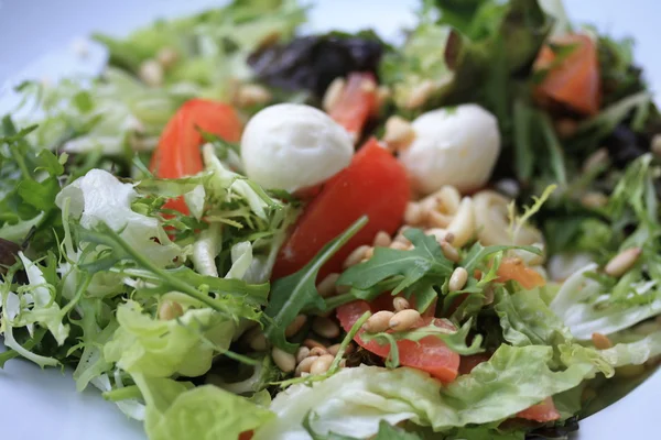 Mozzarella tomato salad — Stock Photo, Image