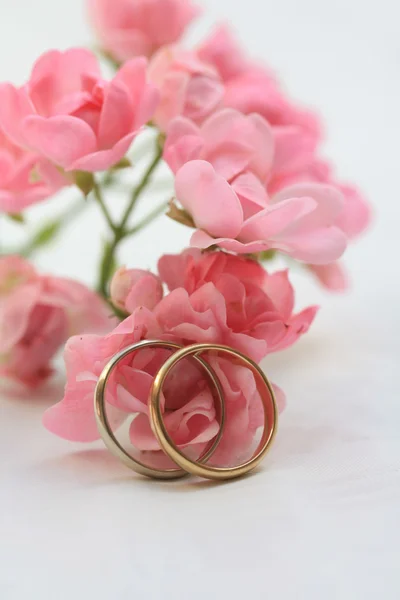 Bandas de casamento e rosas rosa — Fotografia de Stock