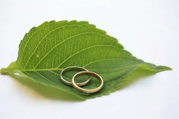 Bandas de casamento em uma folha verde — Fotografia de Stock