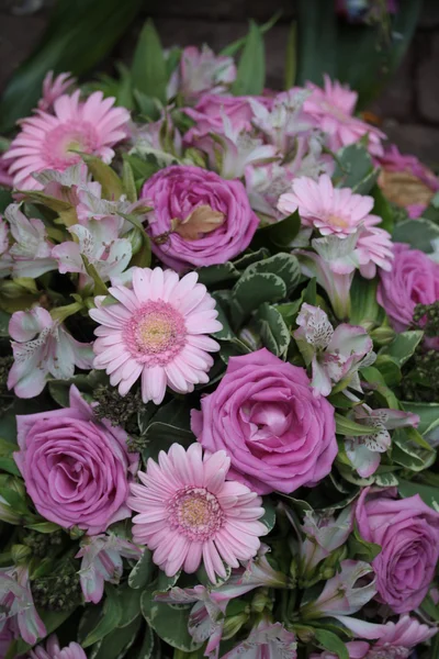 Lila und rosa Blüten Stockbild