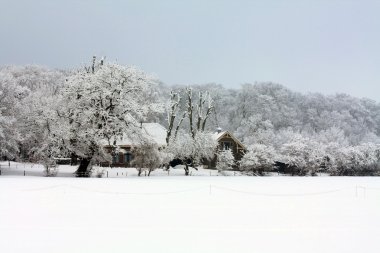 A farm in a frosted winter forest clipart