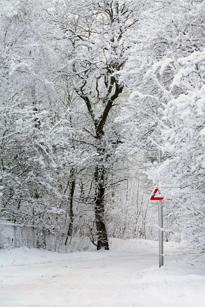 森林中的冬季道路 — 图库照片