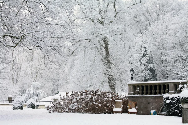 A winter park — Stock Photo, Image