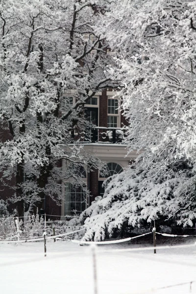 Hus i en vinter skog — Stockfoto