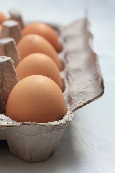 Eieren in een kartonnen doos — Stockfoto