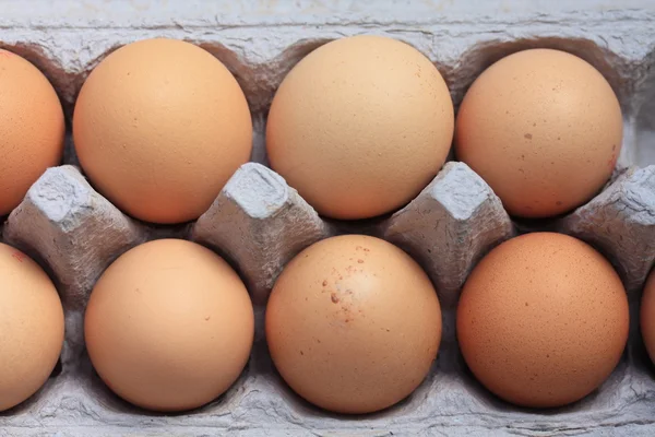Kutudaki yumurtalar — Stok fotoğraf
