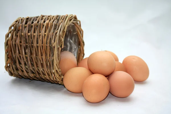 Fresh brown eggs — Stock Photo, Image