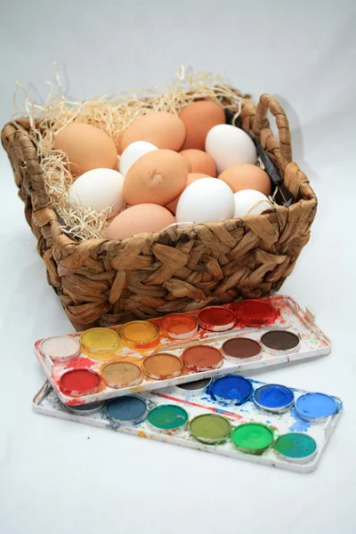 Coloring easter eggs — Stock Photo, Image