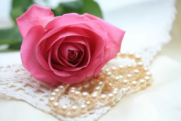 Ροζ τριαντάφυλλο σε πέρλες και δαντέλα — Φωτογραφία Αρχείου