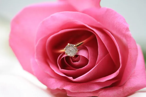 Diamond engagement ring in een roze roos — Stockfoto