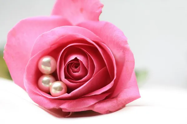 Rosa Rose mit Perlen — Stockfoto