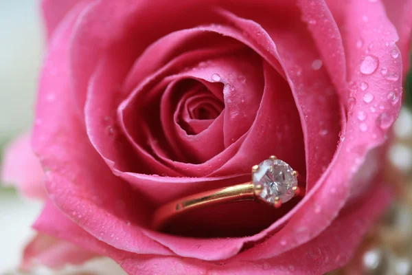 Diamantový zásnubní prsten v mokrém rose — Stock fotografie
