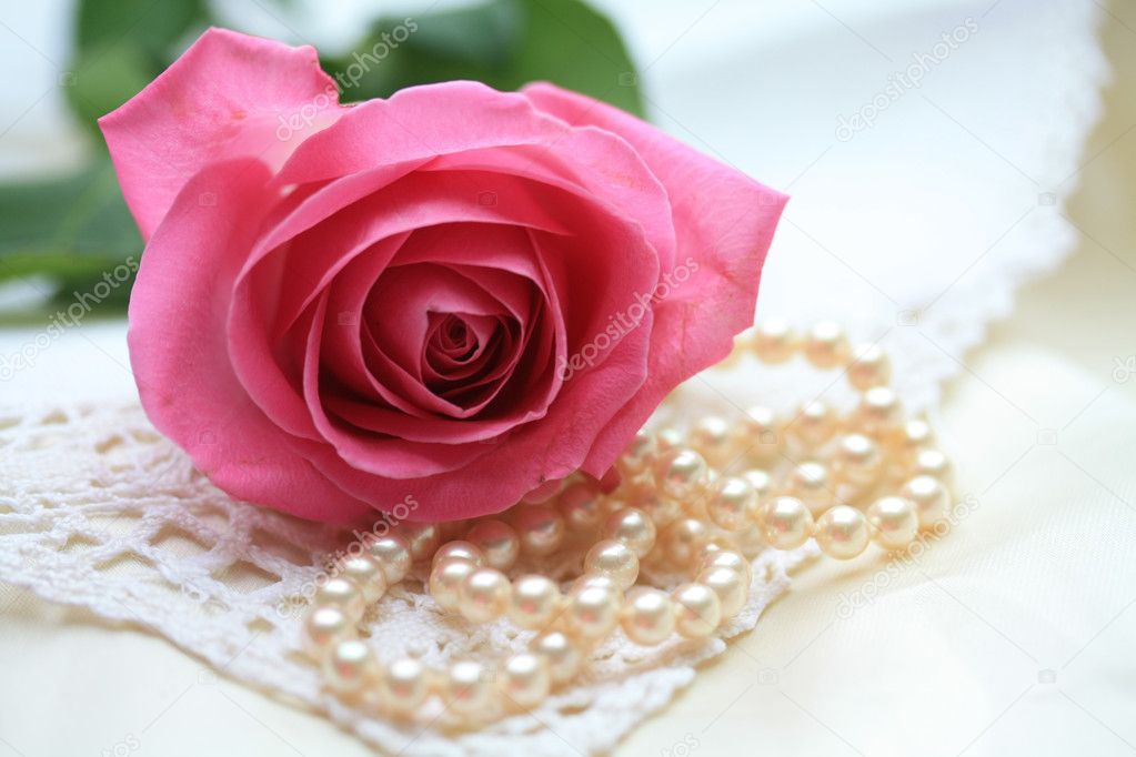 Pink rose on pearls and lace