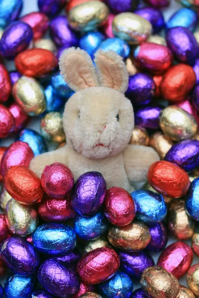 Paskalya tavşanına da çikolata yumurta — Stok fotoğraf