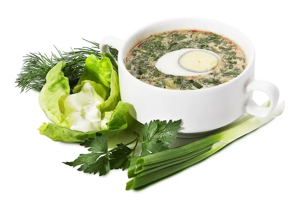 Ruská polévka — Stock fotografie