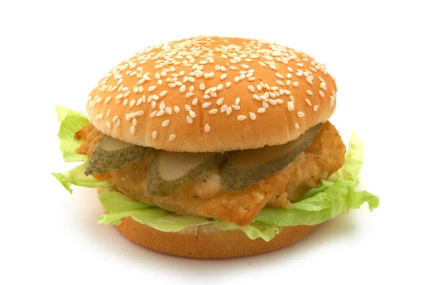 Hamburger isoliert auf weiß — Stockfoto