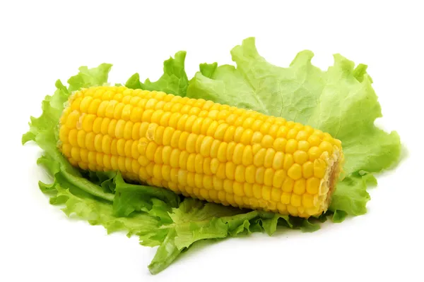 Варена кукурудза — стокове фото