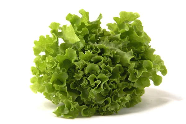 Saláta — Stock Fotó