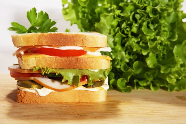 Sandwich au double salami — Photo