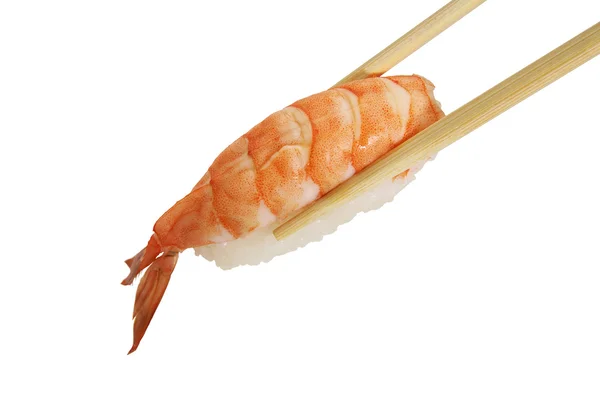 Sushi japonês com camarão — Fotografia de Stock