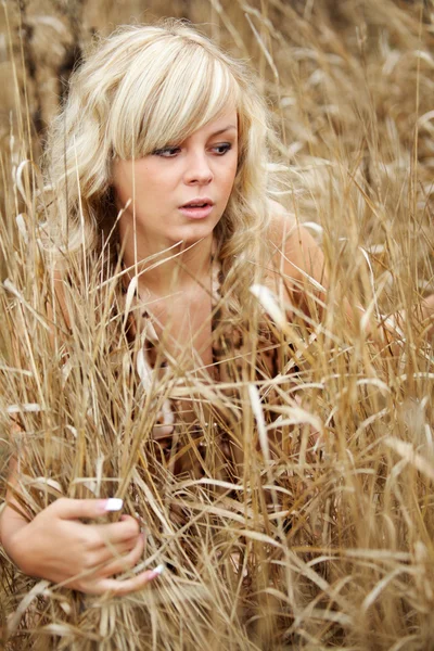 Young woman on the autumn field — Stock Photo, Image