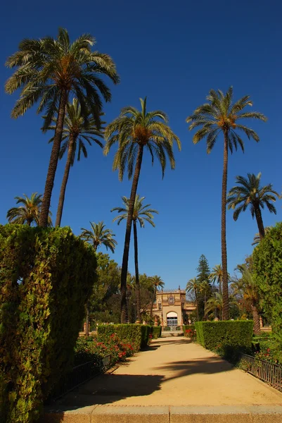 Park maria luisa - Sevilla — Stockfoto