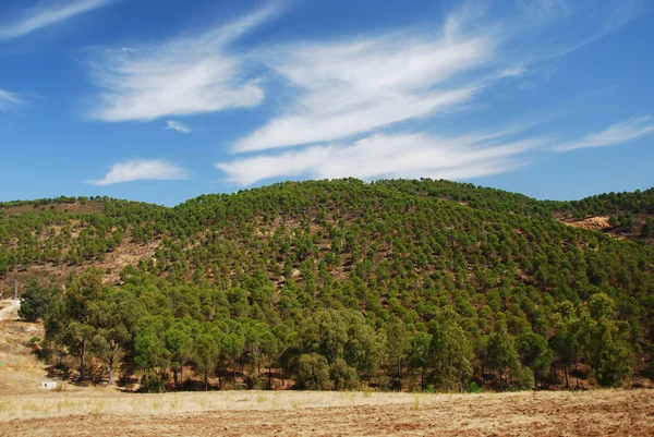 Spanish landscape — Stock Photo, Image