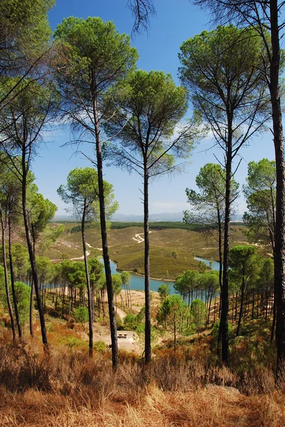 Hiszpański krajobraz — Zdjęcie stockowe