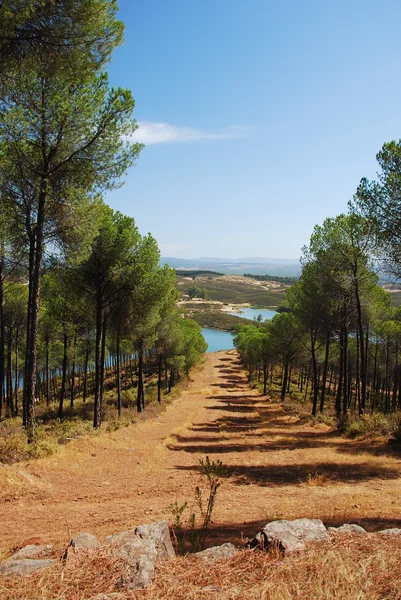 Испанский пейзаж — стоковое фото