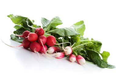 Radish clipart