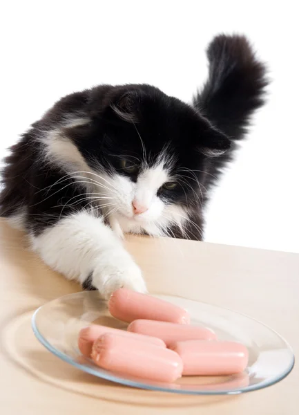 Cat steals sausages — Stock Photo, Image