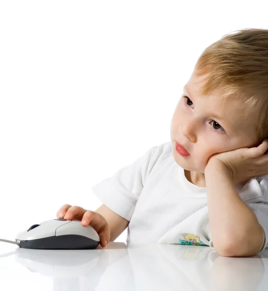 Child holds the computer mouse — Stock Photo, Image