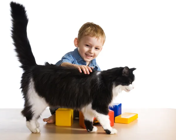 Niño con gato grande — Foto de Stock