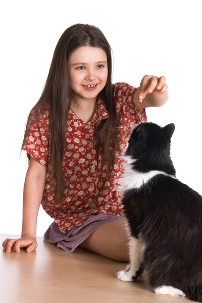 Menina e gato fofo — Fotografia de Stock