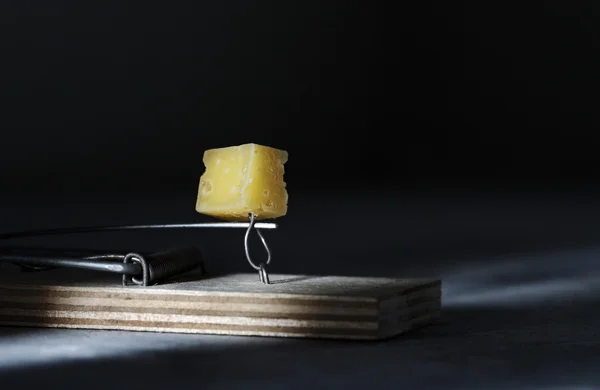 Trappola per topi con primo piano di formaggio — Foto Stock