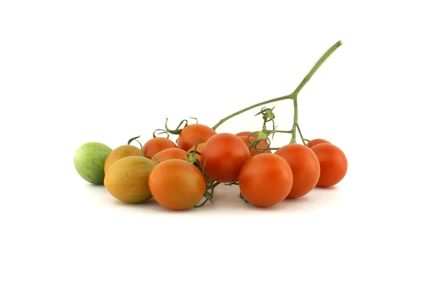 Lilla röda tomater. — Stockfoto