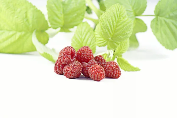 Raspberries. — Stock Photo, Image