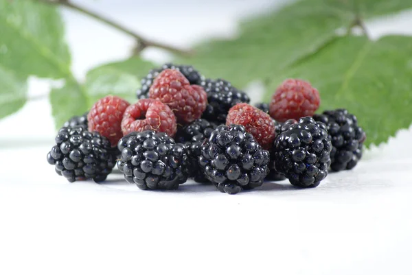 Blackberries and Raspberries. — Stock Photo, Image