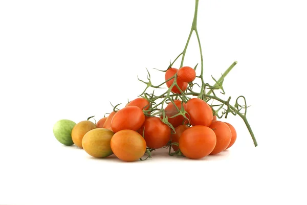 Pomodori rossi . — Foto Stock