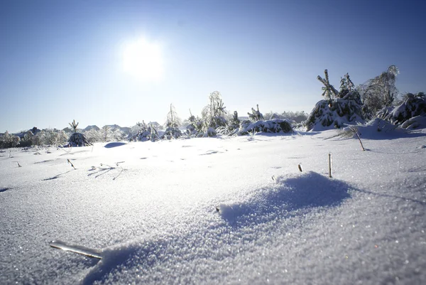 Paesaggio invernale. — Foto Stock