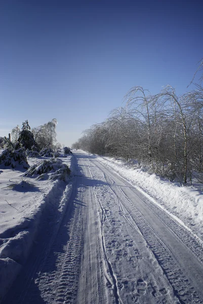Zimní cesta. — Stock fotografie