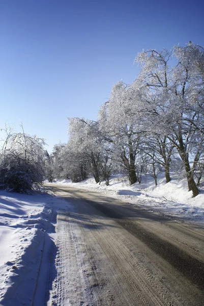 Зимняя дорога. — стоковое фото