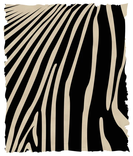 Zebra kůže — Stockový vektor