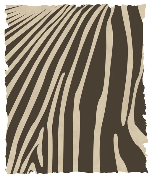 Pele de zebra — Vetor de Stock