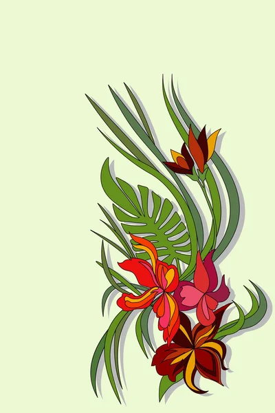 Квітка краси вектор — стоковий вектор