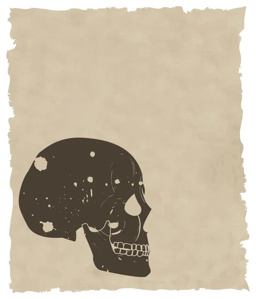Le crâne gris vecteur brun sur vieux papier — Image vectorielle