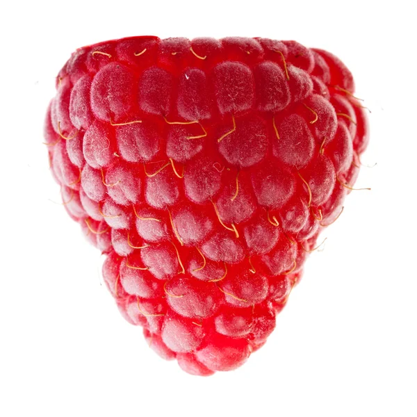 Big raspberry — Stock Photo, Image