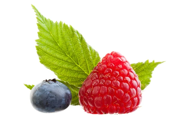 Group of raspberries and blueberries — Stock Photo, Image